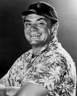 Ernest Borgnine Actor Movies