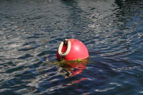 Buoy Sea