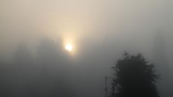 Fog Sun