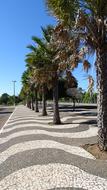 Sidewalk park Trees