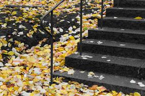 Staircase Stockholm Autumn Yellow