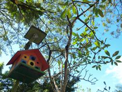 Birdhouse Tree Wooden