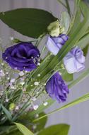 purple roses and green leaves in a bouquet