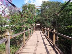 Bridge On The Way To Pyrenopolis