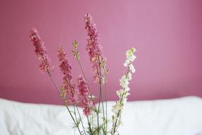 Flowers Pink Bouquet
