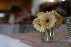 charming beautiful Flower Gerbera Small