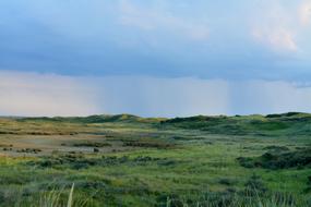 Rain Dunes