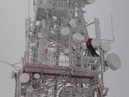The Mast Winter
