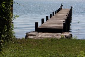 Web Boardwalk Lake