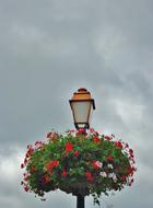 Floor Lamp Flowers Light