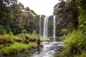 New Zealand Waterfall