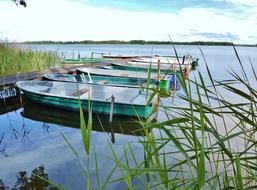 Boats Fishing Web