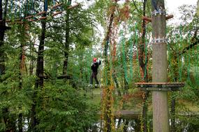 Rope Park Monkey Grove Climbing