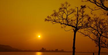 The Evening Sun Trees horizon