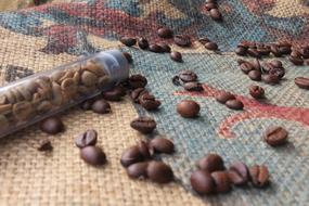 roasted coffee beans in flask