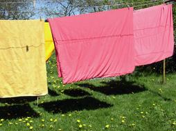 Clothes Line Laundry