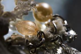 Jewellery Deco Art