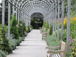 Arcade Garden Pavement design