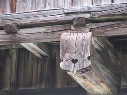 Beam Tree Structure Carving