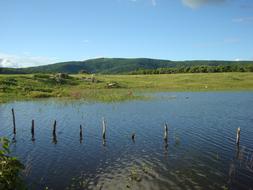 Pond Rural