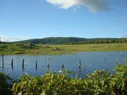 Pond Rural