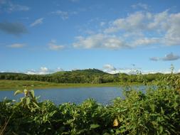 Pond Rural