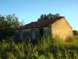 Ruins Farm Rural