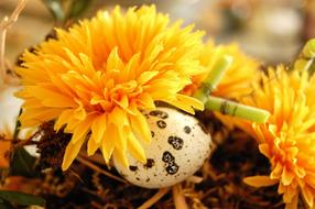 Flower yellow and Egg Easter