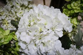 White Flowers Bouquet