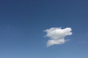 cloud in the sky looks like a dog's head