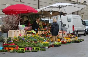 Market Day Flowers Was