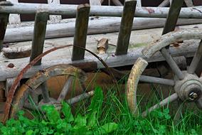 Cart Woodworm Old