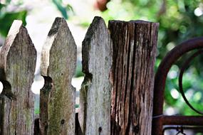 Garden Fence Timber