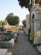 Cemetery Sete