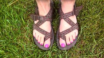 Nail Polish Nails Pink