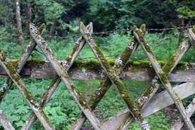 Wood Fence Battens