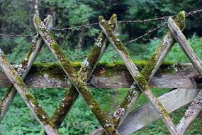 mossy Paling Wood Fence