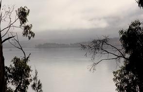 Fog Coast Bank