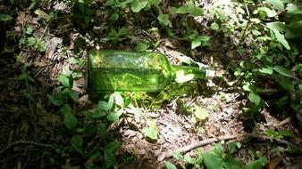 Bottle Glass Green