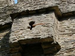 Castle Of Calberte Saint Germain