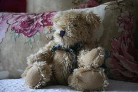 Teddy Cute Bed
