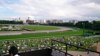 Racecourse Horse Racing