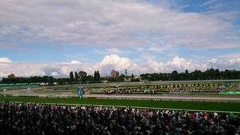 Racecourse Horse Racing stadium