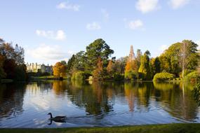 Sheffield Park Reflection Lake