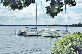 Sailing Boats Water Sail