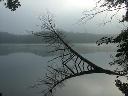 Lake Fog