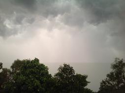 Rain Tropical Storm