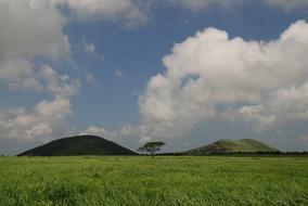 Jeju Island Ascension