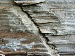 Wood Macro Detail