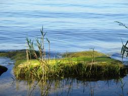 Moss Lake Water